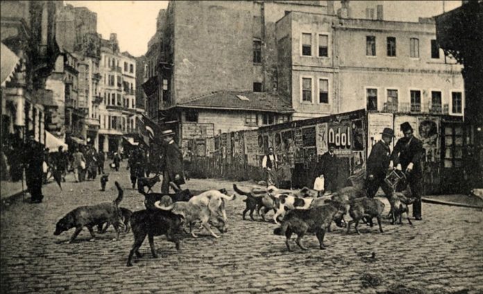 Osmanlı’da hayvan hakları: Benzersiz şefkatten zulme