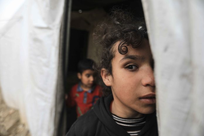 23544555 suriyeliler