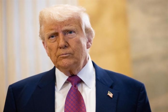 IMG_2478 trump
