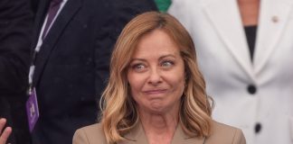 Meloni