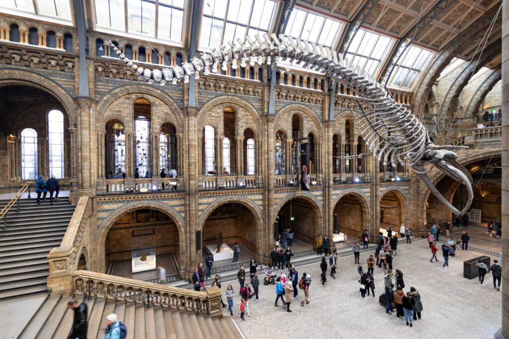 Neden British Museum'a gitmeliyiz?